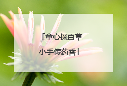童心探百草 小手传药香