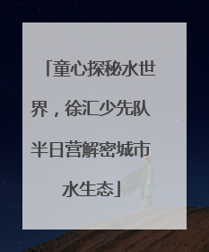 童心探秘水世界，徐汇少先队半日营解密城市水生态