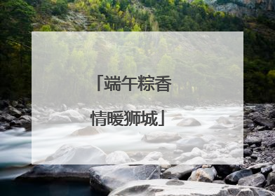 端午粽香 情暖狮城