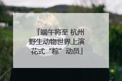 端午将至 杭州野生动物世界上演花式“粽”动员
