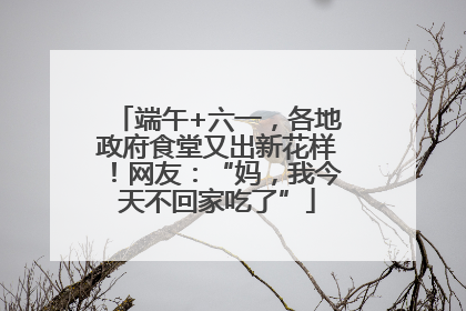 端午+六一，各地政府食堂又出新花样！网友：“妈，我今天不回家吃了”