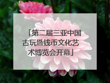 第二届三亚中国古玩暨钱币文化艺术博览会开幕