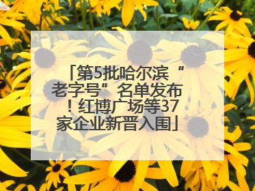 第5批哈尔滨“老字号”名单发布！红博广场等37家企业新晋入围