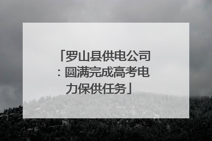 罗山县供电公司：圆满完成高考电力保供任务