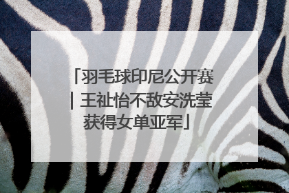 羽毛球印尼公开赛｜王祉怡不敌安洗莹 获得女单亚军