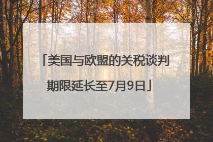 美国与欧盟的关税谈判期限延长至7月9日