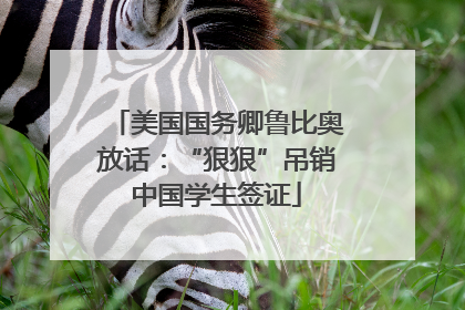 美国国务卿鲁比奥放话：“狠狠”吊销中国学生签证
