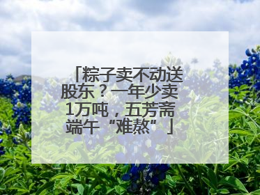 粽子卖不动送股东？一年少卖1万吨，五芳斋端午“难熬”
