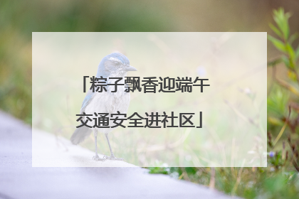 粽子飘香迎端午 交通安全进社区