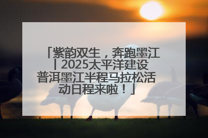 紫韵双生，奔跑墨江丨2025太平洋建设普洱墨江半程马拉松活动日程来啦！