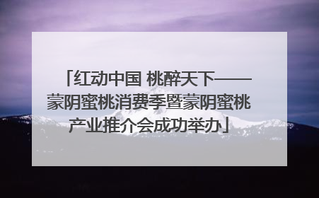红动中国 桃醉天下——蒙阴蜜桃消费季暨蒙阴蜜桃产业推介会成功举办