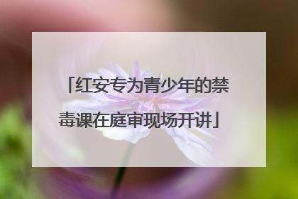 红安专为青少年的禁毒课在庭审现场开讲