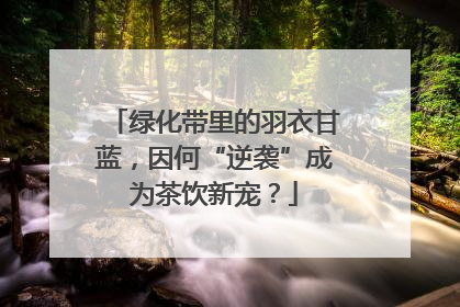 绿化带里的羽衣甘蓝，因何“逆袭”成为茶饮新宠？