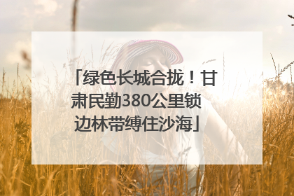 绿色长城合拢！甘肃民勤380公里锁边林带缚住沙海