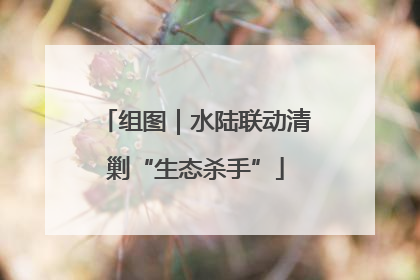 组图｜水陆联动清剿“生态杀手”