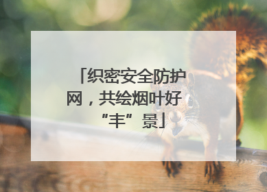 织密安全防护网，共绘烟叶好“丰”景