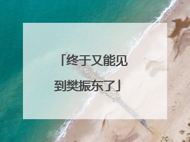 终于又能见到樊振东了