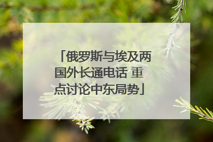 俄罗斯与埃及两国外长通电话 重点讨论中东局势