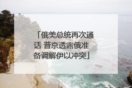 俄美总统再次通话 普京透露俄准备调解伊以冲突
