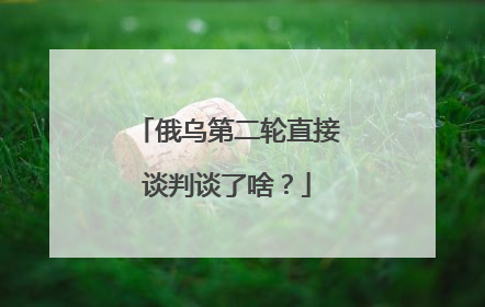 俄乌第二轮直接谈判谈了啥？