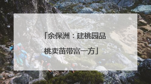 余保洲：建桃园品桃卖苗带富一方