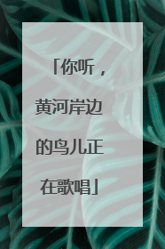 你听，黄河岸边的鸟儿正在歌唱