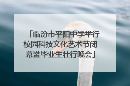 临汾市平阳中学举行校园科技文化艺术节闭幕暨毕业生壮行晚会