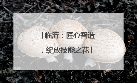 临沂：匠心智造，绽放技能之花
