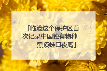 临沧这个保护区首次记录中国独有物种——黑顶蛙口夜鹰