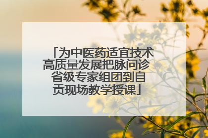 为中医药适宜技术高质量发展把脉问诊 省级专家组团到自贡现场教学授课