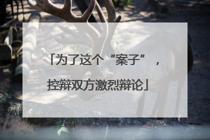 为了这个“案子”，控辩双方激烈辩论