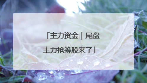 主力资金｜尾盘主力抢筹股来了