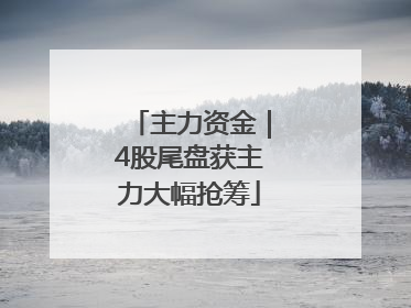 主力资金｜4股尾盘获主力大幅抢筹