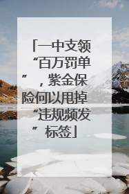 一中支领“百万罚单”，紫金保险何以甩掉“违规频发”标签