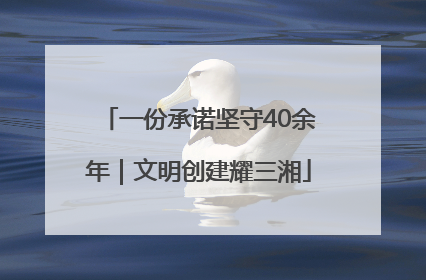 一份承诺坚守40余年｜文明创建耀三湘