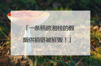 一条横跨湘桂的假烟供销链被摧毁！