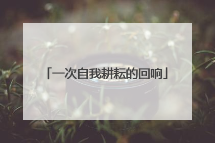 一次自我耕耘的回响