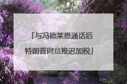 与冯德莱恩通话后 特朗普同意推迟加税
