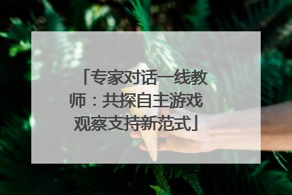 专家对话一线教师：共探自主游戏观察支持新范式