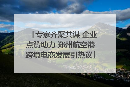 专家齐聚共谋 企业点赞助力 郑州航空港跨境电商发展引热议