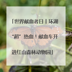 世界献血者日丨环湖“超”热血！献血车开进红山森林动物园