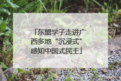 东盟学子走进广西多地“沉浸式”感知中国式民主