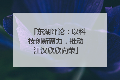 东湖评论：以科技创新聚力，推动江汉欣欣向荣