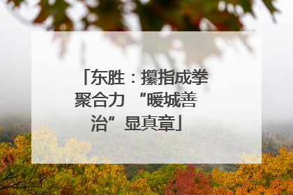 东胜：攥指成拳聚合力 “暖城善治”显真章