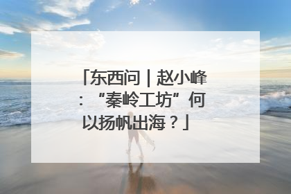 东西问｜赵小峰：“秦岭工坊”何以扬帆出海？