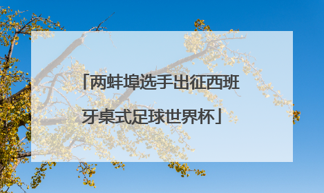 两蚌埠选手出征西班牙桌式足球世界杯