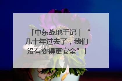中东战地手记｜“几十年过去了，我们没有变得更安全”