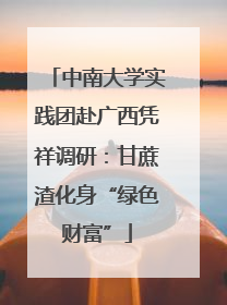 中南大学实践团赴广西凭祥调研：甘蔗渣化身“绿色财富”