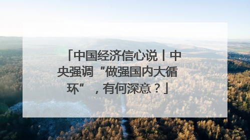 中国经济信心说丨中央强调“做强国内大循环”，有何深意？