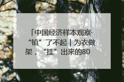 中国经济样本观察·“镇”了不起｜为衣做架，“挂”出来的80亿元“衣架产业”